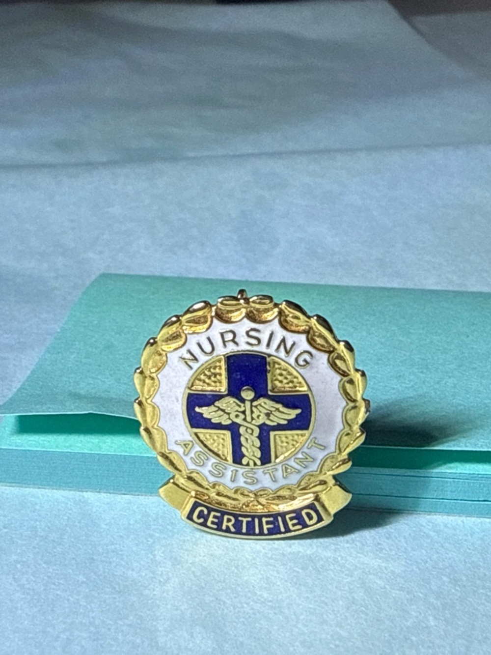 Certified Nursing Assistant Pin CNA Badge Enamel Brooch Medical Healthcare